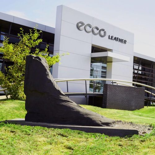 11138113_988601864497871_7886779576688671235_n