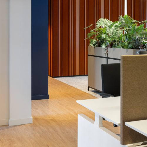 SP2023-De-Rooy-2-LowRes